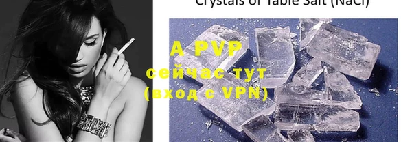 марки lsd Пересвет