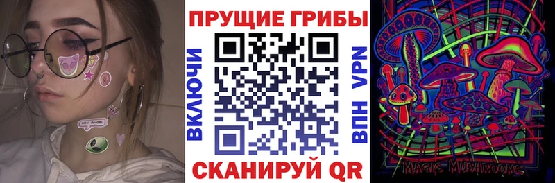 Псилоцибиновые грибы Cubensis  Купить закладки  Ахтырский 